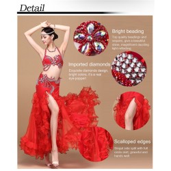 Be00001   Belly Dance Costume Adult