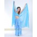Be00205    Belly Dance Accessories